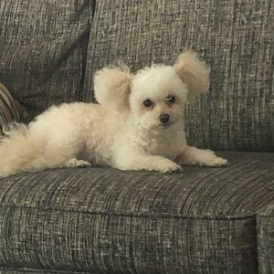 Meet your Posher, Lisa